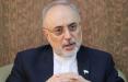 رئیس سازمان انرژی اتمی ایران,اخبار سیاسی,خبرهای سیاسی,سیاست خارجی