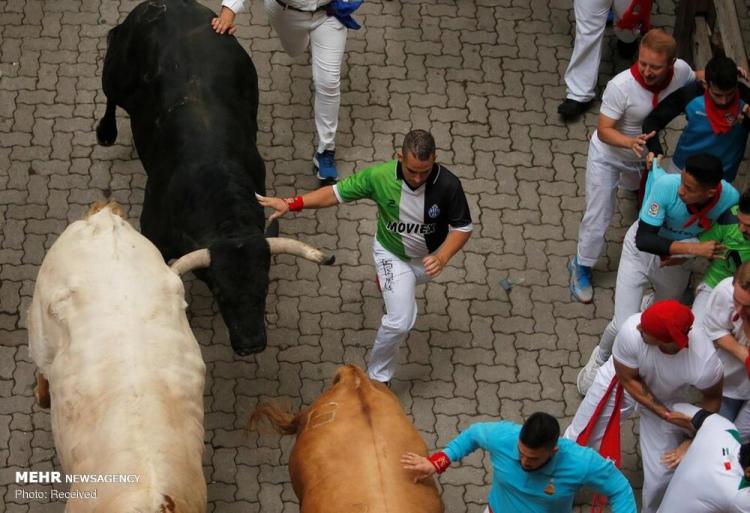 تصاویر جشنواره سان فرمین در اسپانیا‎,عکس های جشنواره سان فرمین در اسپانیا‎,تصاویر جشنواره سان فرمین