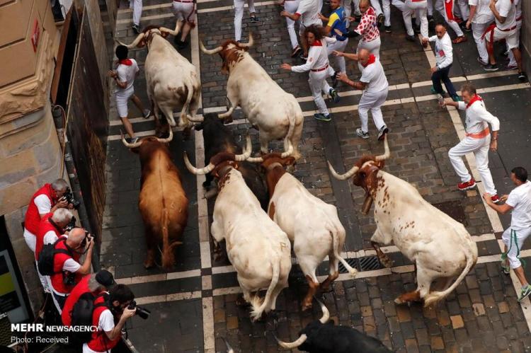 تصاویر جشنواره سان فرمین در اسپانیا‎,عکس های جشنواره سان فرمین در اسپانیا‎,تصاویر جشنواره سان فرمین