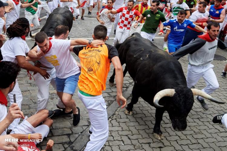 تصاویر جشنواره سان فرمین در اسپانیا‎,عکس های جشنواره سان فرمین در اسپانیا‎,تصاویر جشنواره سان فرمین