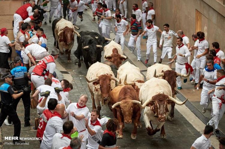 تصاویر جشنواره سان فرمین در اسپانیا‎,عکس های جشنواره سان فرمین در اسپانیا‎,تصاویر جشنواره سان فرمین