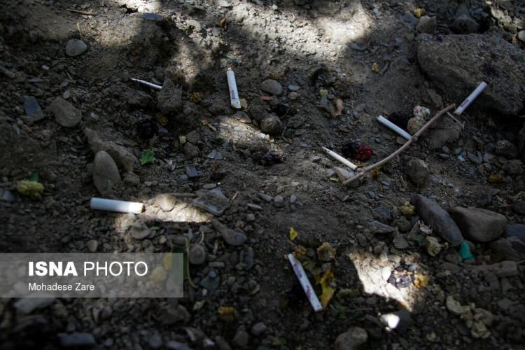 تصاویر مصرف دخانیات در ایران,عکس های مصرف سیگار در کشور,تصاویر مصرف قلیان