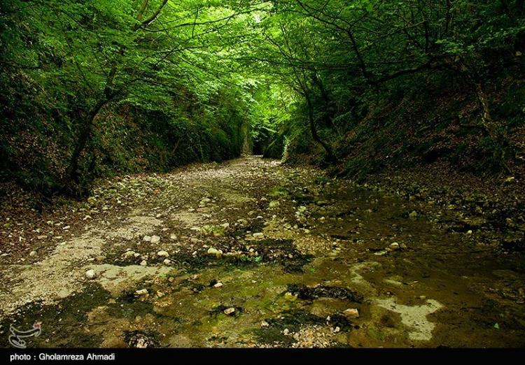 تصاویر آبشار سنگ نو,عکس های آبشار سنگ نو,تصاویر آبشار سنگ نو در بهشهر