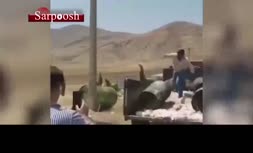 فیلم/ تخلف یک کارخانه پروتئینی در شیراز