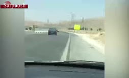 فیلم/ حادثه ای دردناک در جاده شیراز - خرامه