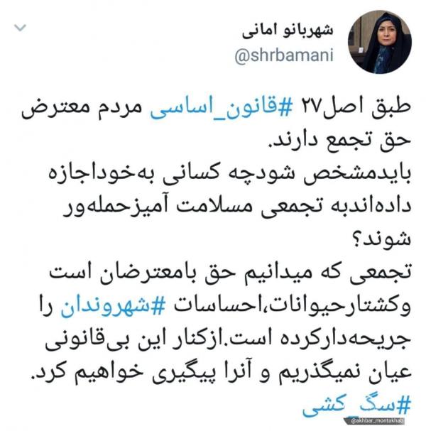 شهربانو امانی,اخبار اجتماعی,خبرهای اجتماعی,شهر و روستا