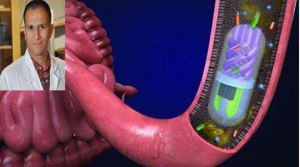 باکتری‌های روده,اخبار پزشکی,خبرهای پزشکی,تازه های پزشکی