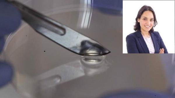 باکتریوفاژها باکتریوفاژها,اخبار پزشکی,خبرهای پزشکی,تازه های پزشکی