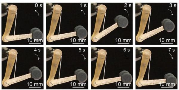 بازوی رباتیک فضایی بازوی رباتیک فضایی,اخبار علمی,خبرهای علمی,نجوم و فضا