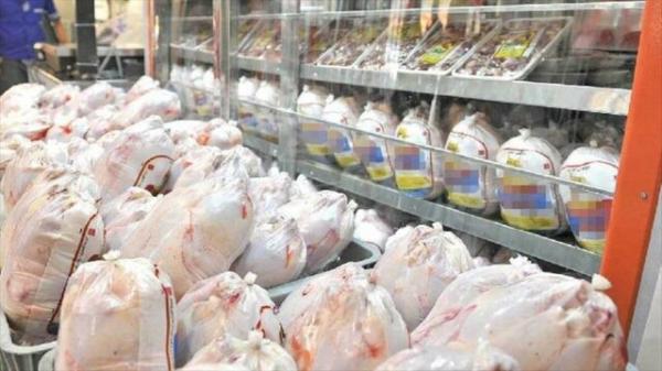 قیمت مرغ قیمت مرغ,اخبار اقتصادی,خبرهای اقتصادی,کشت و دام و صنعت