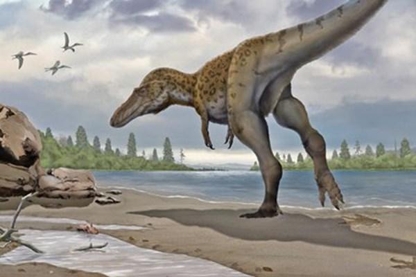 کشف ردپای دایناسورها در آسیا,اخبار حوادث,خبرهای حوادث,حوادث طبیعی