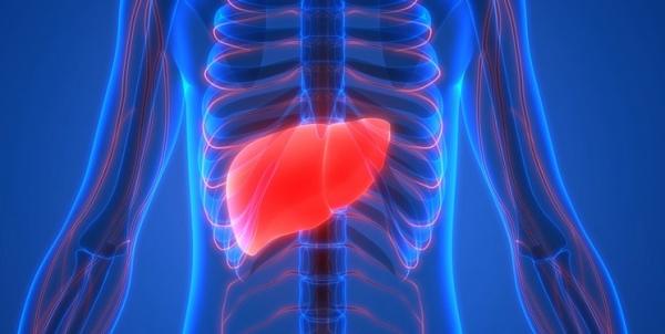 پیوند کبد,اخبار پزشکی,خبرهای پزشکی,تازه های پزشکی