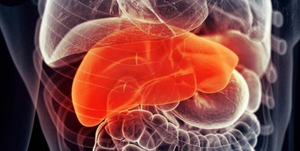 پیوند کبد,اخبار پزشکی,خبرهای پزشکی,تازه های پزشکی