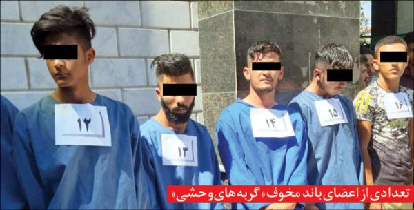 پرونده زورگیرهای مخوف در مشهد,اخبار حوادث,خبرهای حوادث,جرم و جنایت