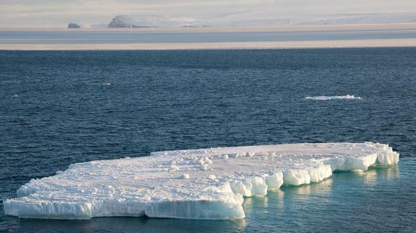 دریای یخی آلاسکا,اخبار علمی,خبرهای علمی,طبیعت و محیط زیست
