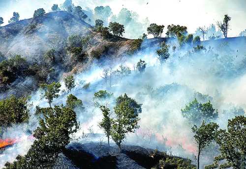 آتش‌سوزی‌ جنگل‌های زاگرس,اخبار اجتماعی,خبرهای اجتماعی,محیط زیست