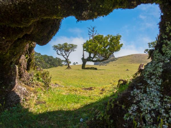 بهترین مناظر دنیا,اخبار جالب,خبرهای جالب,خواندنی ها و دیدنی ها