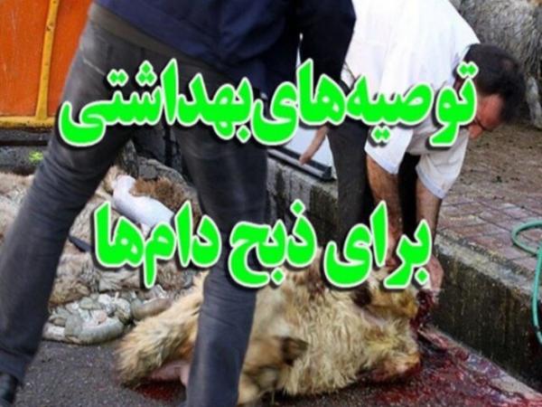 توصیه های بهداشتی برای ذبح دام ها توصیه های بهداشتی برای ذبح دام ها,اخبار پزشکی,خبرهای پزشکی,بهداشت