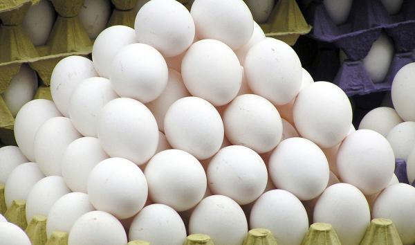 کشف تخم مرغ غیر بهداشتی در خوزستان,اخبار پزشکی,خبرهای پزشکی,بهداشت