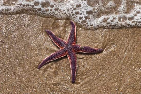 اتفاقات بعد از ناپدیدشدن ماه,اخبار علمی,خبرهای علمی,نجوم و فضا