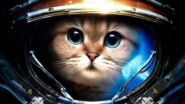 حیوانات فضانورد,اخبار علمی,خبرهای علمی,نجوم و فضا