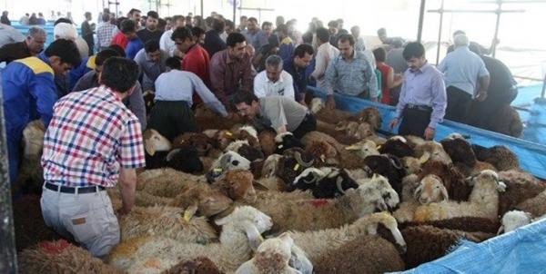 دام زنده,اخبار اقتصادی,خبرهای اقتصادی,کشت و دام و صنعت