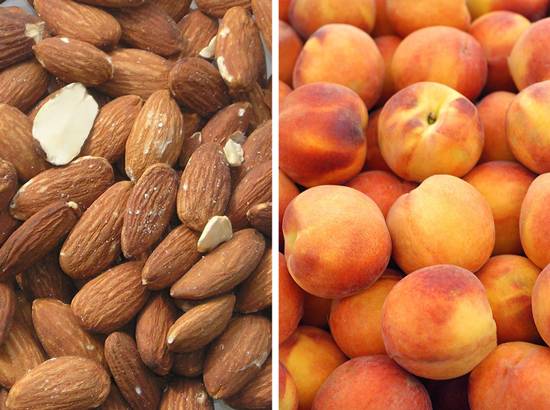 دانستنیهای جالب دانستنیهای جالب,اخبار جالب,خبرهای جالب,خواندنی ها و دیدنی ها