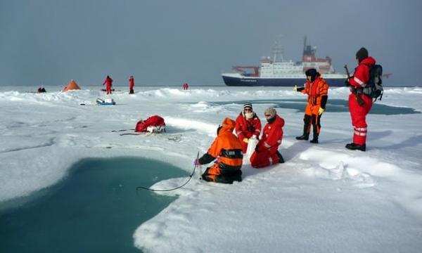 بارش برف پلاستیکی در قطب شمال,اخبار علمی,خبرهای علمی,طبیعت و محیط زیست