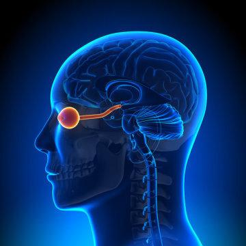 تحریک عصب بینایی برای کمک به نابینایان,اخبار پزشکی,خبرهای پزشکی,تازه های پزشکی