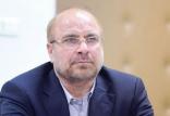 محمد باقر قالیباف,اخبار سیاسی,خبرهای سیاسی,اخبار سیاسی ایران