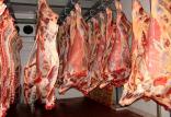 کاهش قیمت گوشت قرمز به دلیل رکود بازار/علت گرانفروشی در بازار ضعف در نظارت است بازار گوشت قرمز,اخبار اقتصادی,خبرهای اقتصادی,کشت و دام و صنعت