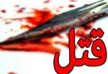 پرونده های جنایی خانوادگی در تهران و آران و بیدگل,اخبار حوادث,خبرهای حوادث,جرم و جنایت