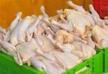 مرغ,اخبار اقتصادی,خبرهای اقتصادی,کشت و دام و صنعت