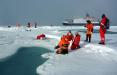 بارش برف پلاستیکی در قطب شمال,اخبار علمی,خبرهای علمی,طبیعت و محیط زیست