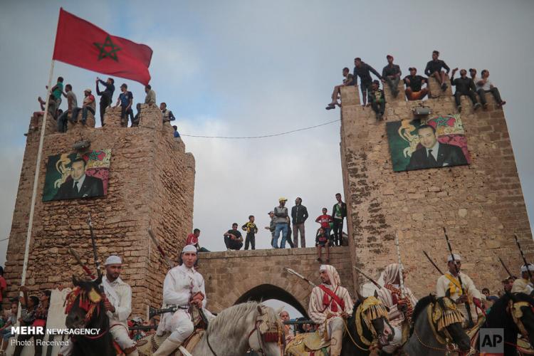 تصاویر جشنواره اسب سواری در مراکش‎,عکس های جشنواره اسب سواری در مراکش‎,تصاویر جشنواره اسب سواری