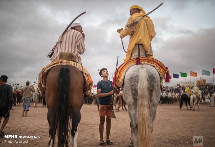 تصاویر جشنواره اسب سواری در مراکش‎,عکس های جشنواره اسب سواری در مراکش‎,تصاویر جشنواره اسب سواری