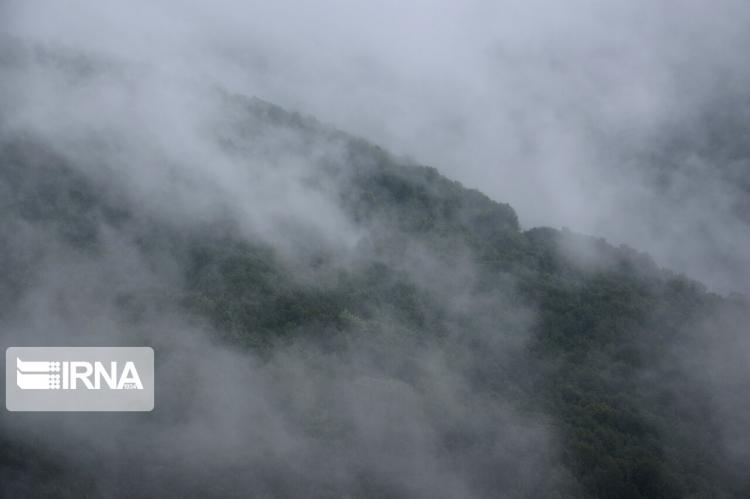 تصاویر مه در شهرستان بره‌سر,عکس های طبیعت,تصاویر دیدنی از رودبار