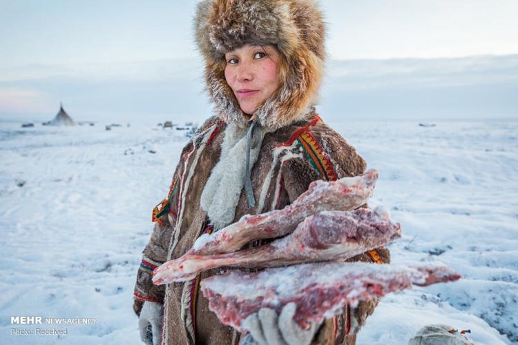 تصاویر زندگی در سرزمین های قطبی روسیه‎,عکس های زندگی در سرزمین های قطبی روسیه‎,تصاویر ساکنان سرزمین های قطبی