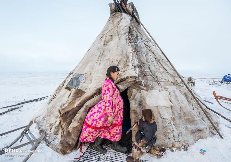 تصاویر زندگی در سرزمین های قطبی روسیه‎,عکس های زندگی در سرزمین های قطبی روسیه‎,تصاویر ساکنان سرزمین های قطبی