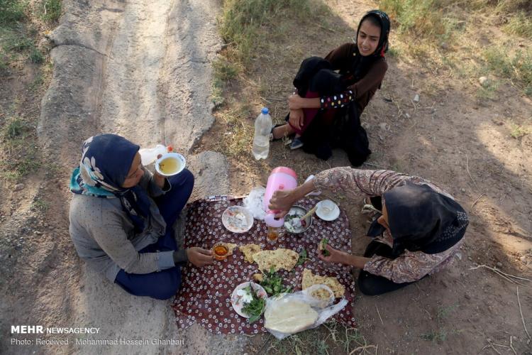 تصاویر برداشت گندم در کرمان,عکس های دیدنی از مزرعه گندم,تصاویر برداشت گندم از مزارع روستای دهزیار