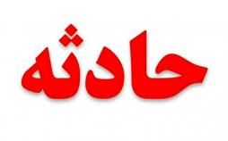 فوت کارگر ٣٠ ساله در پتروشیمی بوشهر بر اثر سقوط در مخزن گاز فوت کارگری در پتروشیمی بوشهر,کار و کارگر,اخبار کار و کارگر,حوادث کار