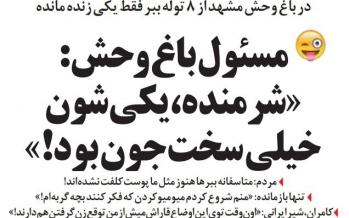 طنز/ شیرینکاری عجیب در باغوحش مشهد! کشته شدن توله ببرها در باغ وحش مشهد,طنز,مطالب طنز,طنز جدید