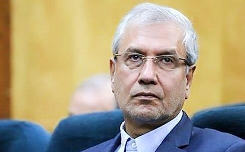 علی ربیعی,اخبار سیاسی,خبرهای سیاسی,دولت