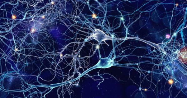 کاشت حافظه مصنوعی در مغز موش‌ها,اخبار پزشکی,خبرهای پزشکی,تازه های پزشکی
