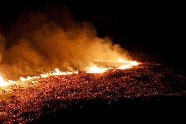آتش سوزی در جنگل‌های کوه سمر,اخبار اجتماعی,خبرهای اجتماعی,محیط زیست