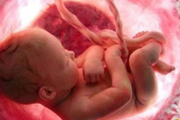 ناباروری در ایران,اخبار پزشکی,خبرهای پزشکی,بهداشت