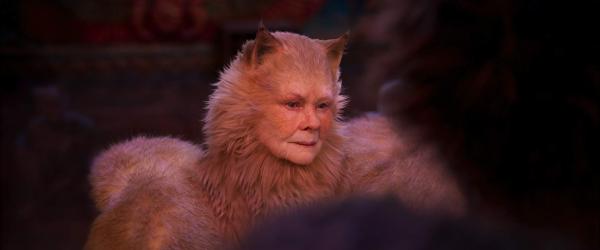 فیلم گربهها فیلم گربهها,اخبار فیلم و سینما,خبرهای فیلم و سینما,اخبار سینمای جهان