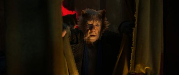 فیلم گربهها فیلم گربهها,اخبار فیلم و سینما,خبرهای فیلم و سینما,اخبار سینمای جهان