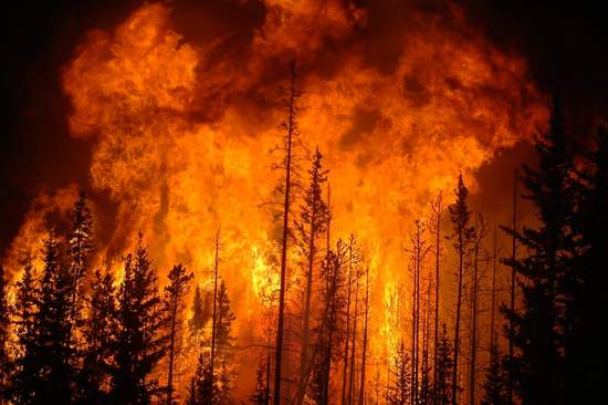 خسارات آتش سوزی جنگل آمازون,اخبار جالب,خبرهای جالب,خواندنی ها و دیدنی ها