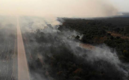خسارات آتش سوزی جنگل آمازون,اخبار جالب,خبرهای جالب,خواندنی ها و دیدنی ها